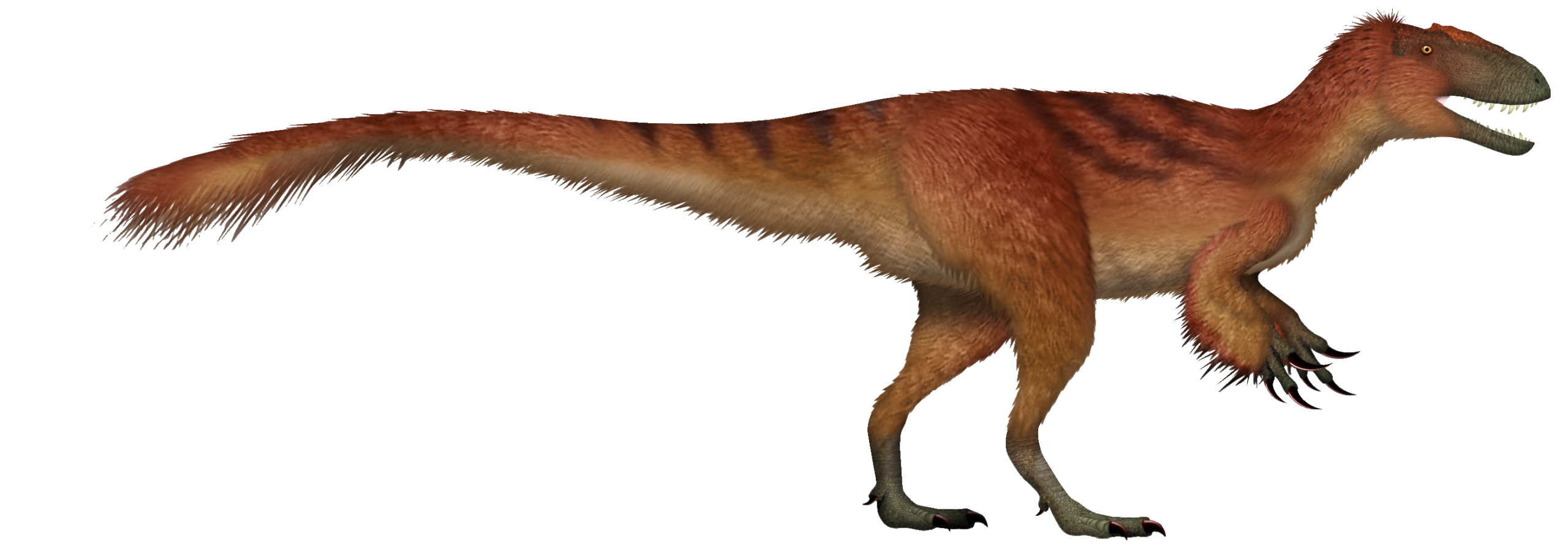 Yutyrannus: A Feathered Tyrannosaur from a Wintry Northern China 