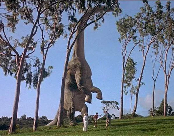 #6 - That Famous Rearing-Up Scene Is a Fantasy 