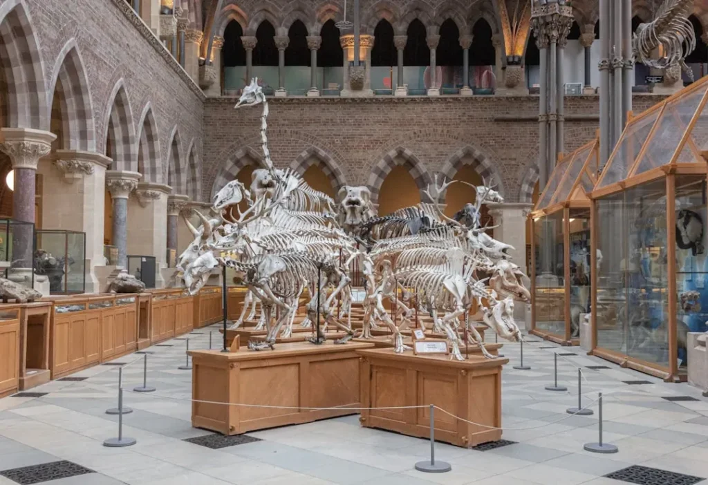 7 Discoveries Hidden in Museum Collections for Decades