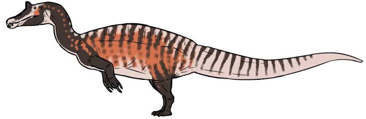 A Slender Snout and Needle Teeth: What Irritator Looked Like