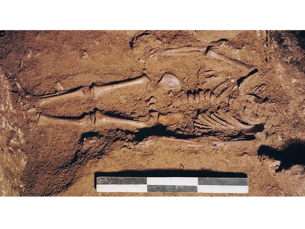 The Richest Child Burial of the Ice Age: Prestige Before Adulthood