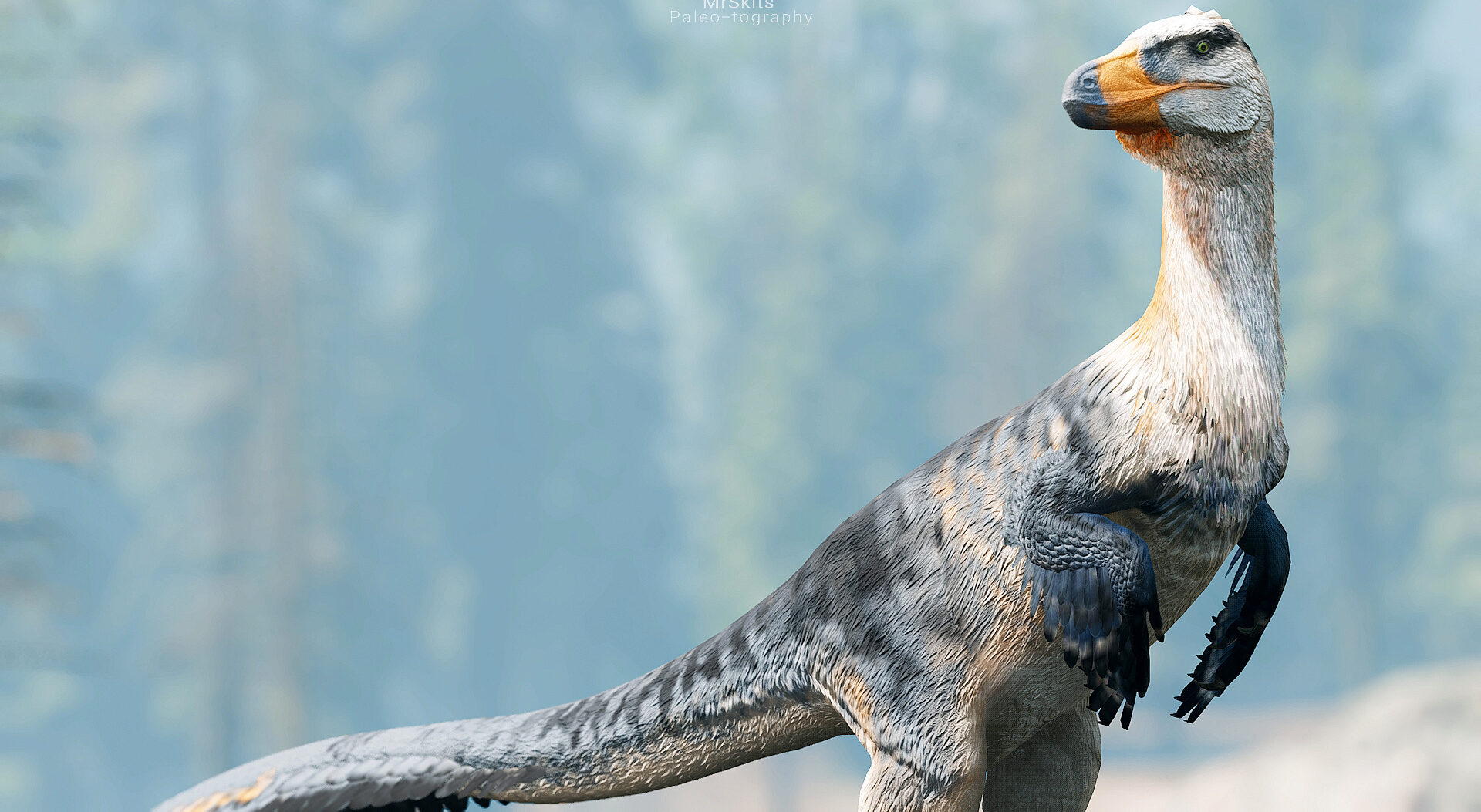 Why Austroraptor Deserves Way More Fame