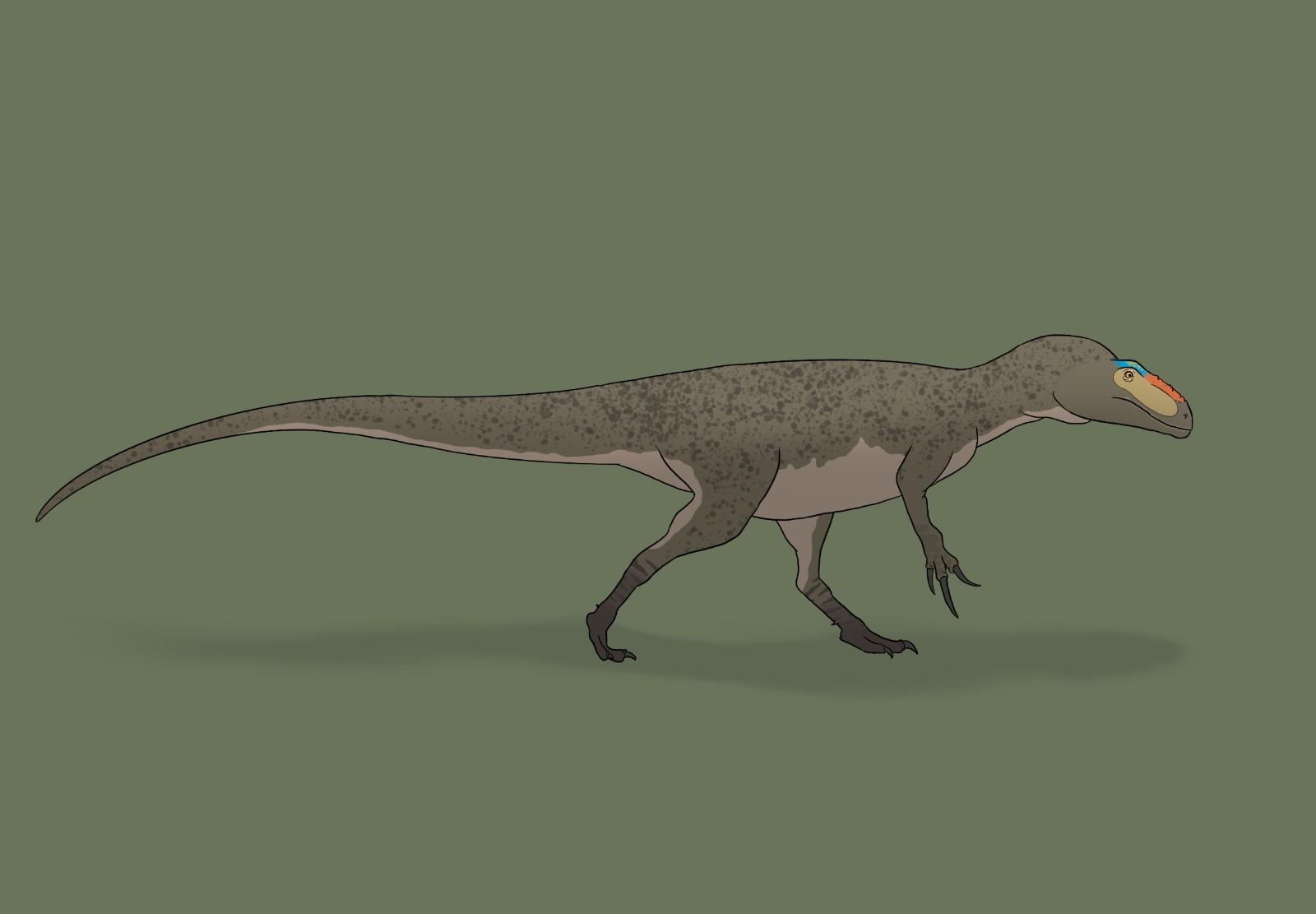 What Scipionyx Really Tells Us About Dinosaurs – And What It Doesn’t