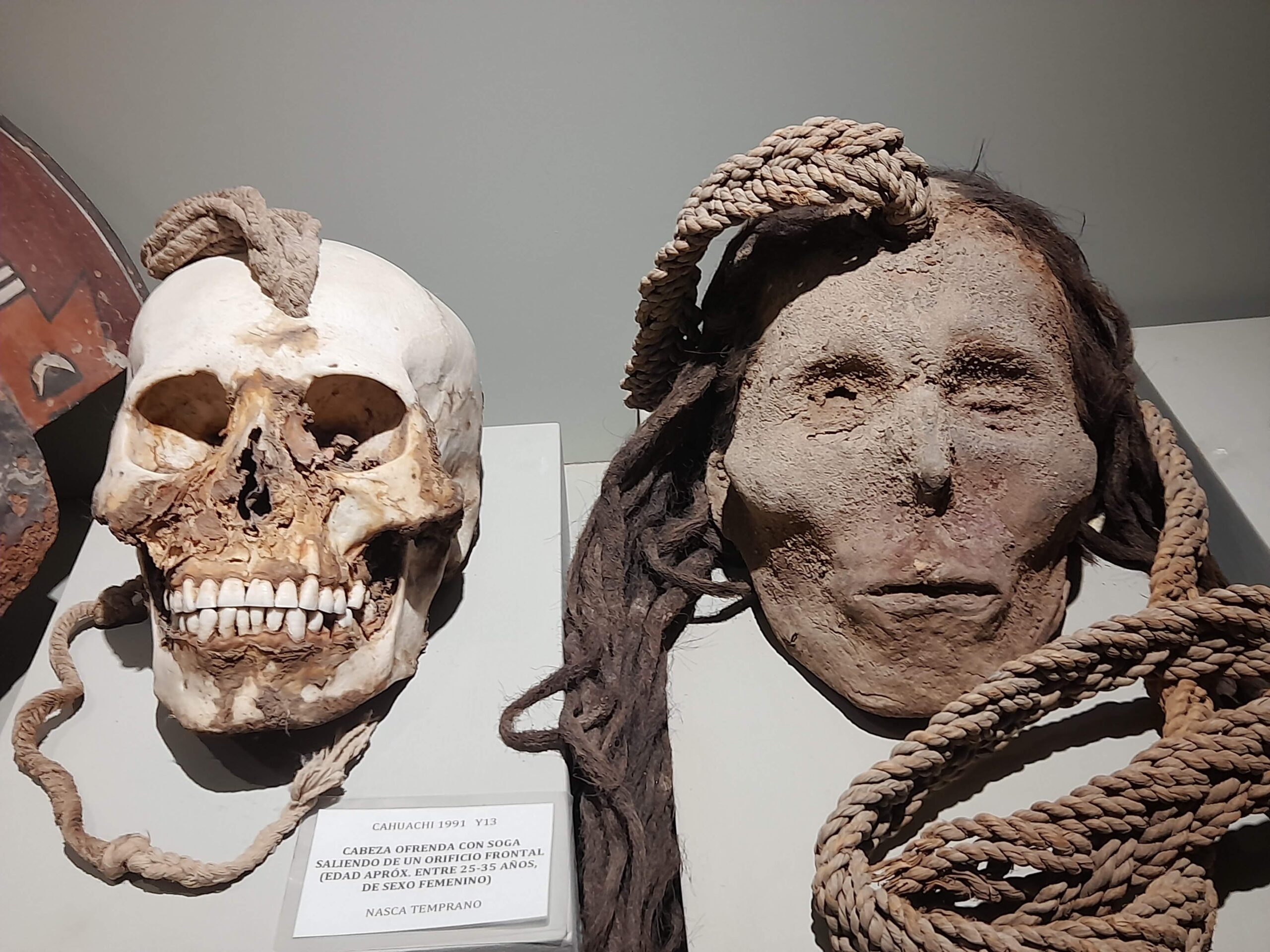 The Nazca Trophy Skulls: Ritual Objects Dismissed as Tourist Crafts