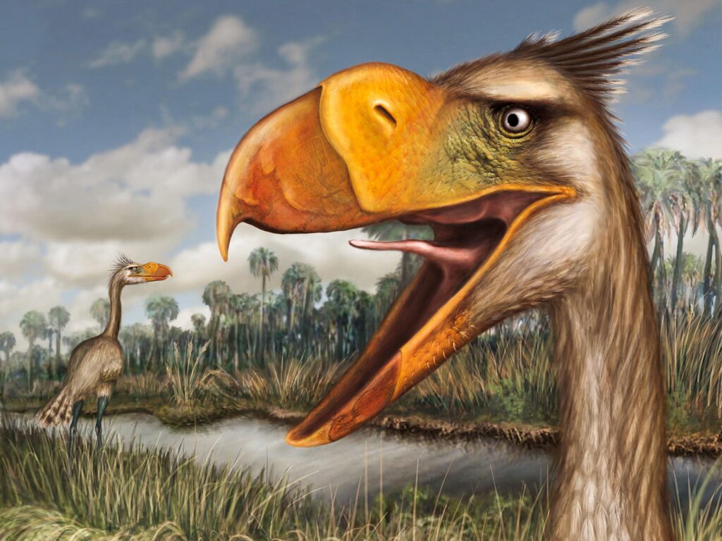 Palaeontology says there was a species of prehistoric bird so large it could not fly, stood three metres tall, and was almost certainly the apex predator of its continent for millions of years