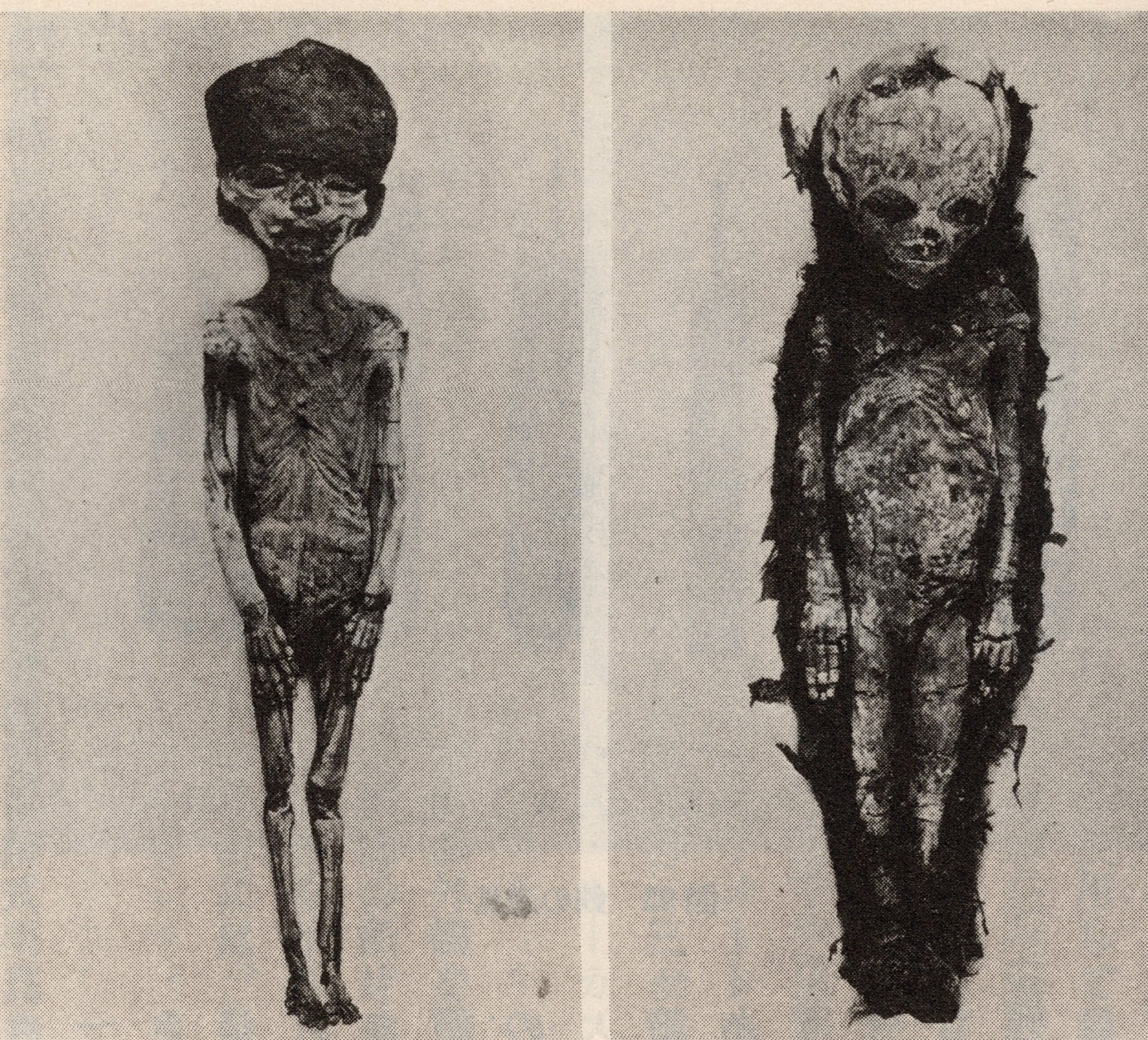 The Tiny Embalmed Fetuses and a Royal Story No One Can Reconstruct