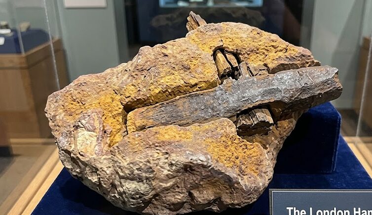 #2 - The Alleged 300-Million-Year-Old "Coal Hammer" of Texas