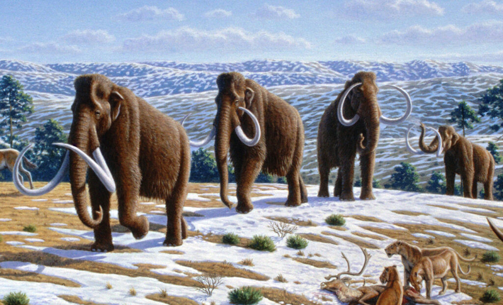 13 Things Scientists Quietly Admitted About the Woolly Mammoth