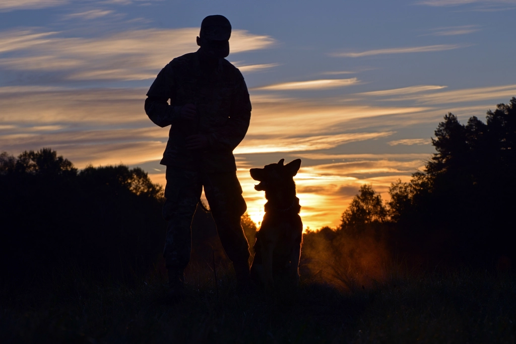 8 Reasons Dogs Became Humanity's First Animal Partners