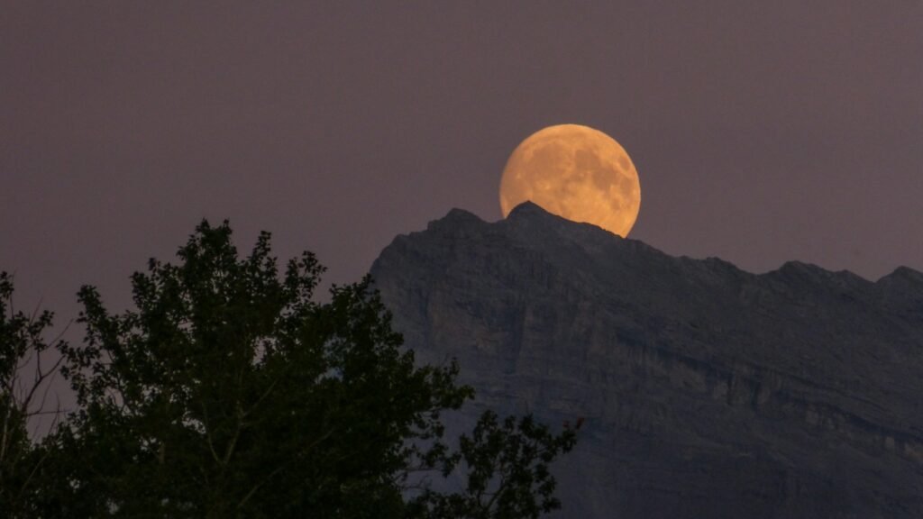 The Moon Was Significantly Closer to Earth During the Age of Dinosaurs - Which Means Tides Were Stronger Days Were Shorter and the World Moved to a Different Rhythm