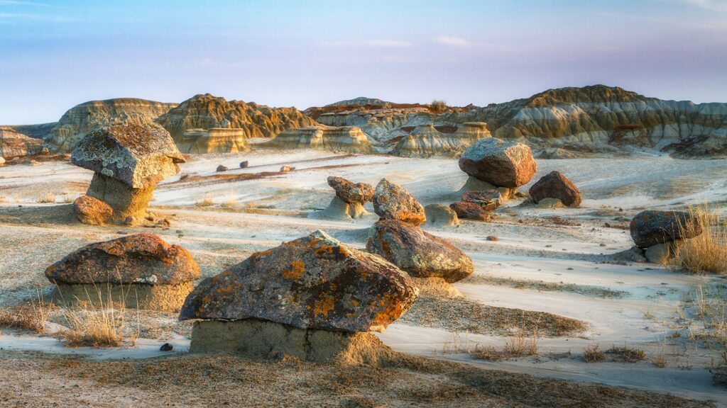 Dinosaur Provincial Park in Canada Has Produced More Dinosaur Species Per Square Mile Than Any Other Site on Earth and It Looks Like Another Planet