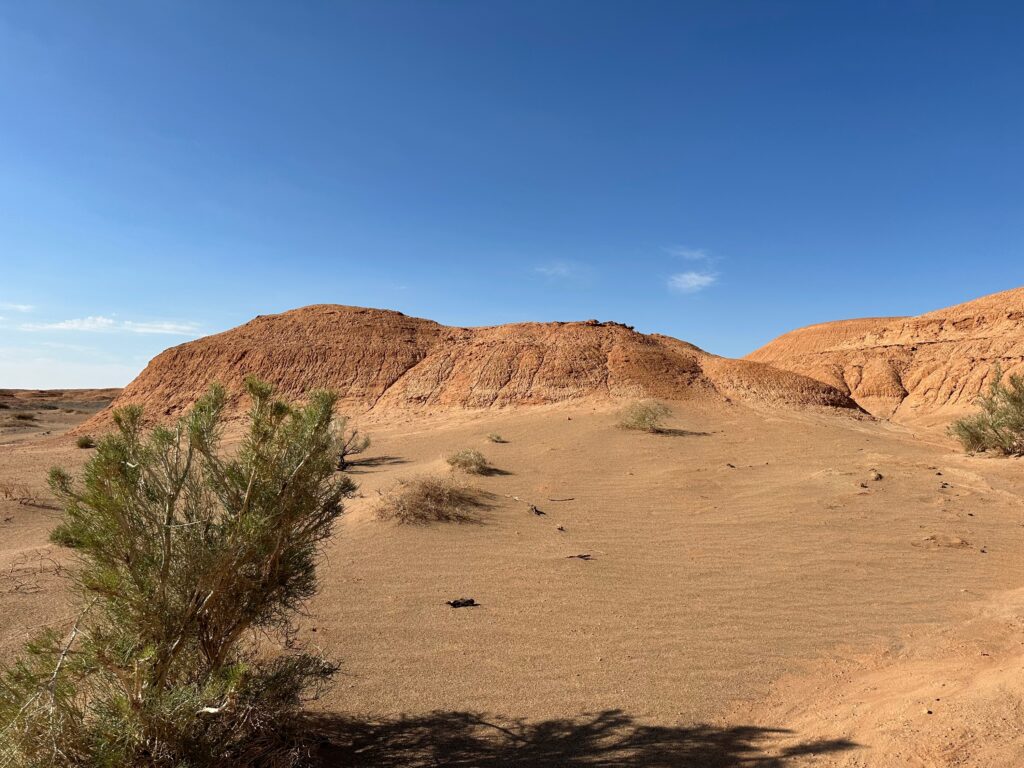 The Gobi Desert Spans Two Countries Reaches Temperatures of Minus 40 in Winter and Has Produced Some of the Most Perfectly Preserved Dinosaur Fossils Ever Found