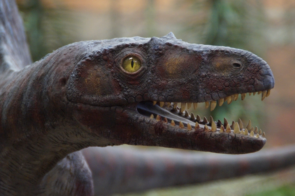 The History Channel Once Broadcast a Documentary Suggesting Dinosaurs Were Influenced by Ancient Aliens and That Episode Is Still More Watched Than Most Legitimate Paleontology Content