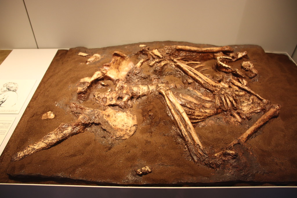 Anthropology Says Ancient Humans Who Buried Their Dead With Flowers 130,000 Years Ago May Have Had a Concept of an Afterlife Far Earlier Than Any Religion We Know