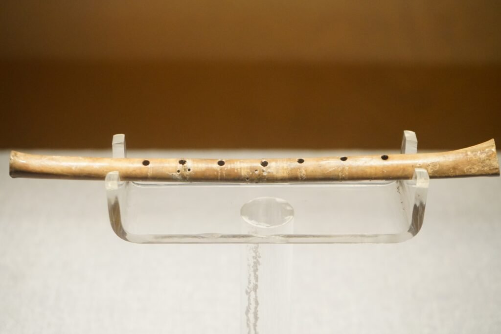 The Oldest Known Musical Instruments Are Flutes Carved From Bone 60000 Years Ago - Which Means Neanderthals May Have Had Music Before Modern Humans Arrived in Europe