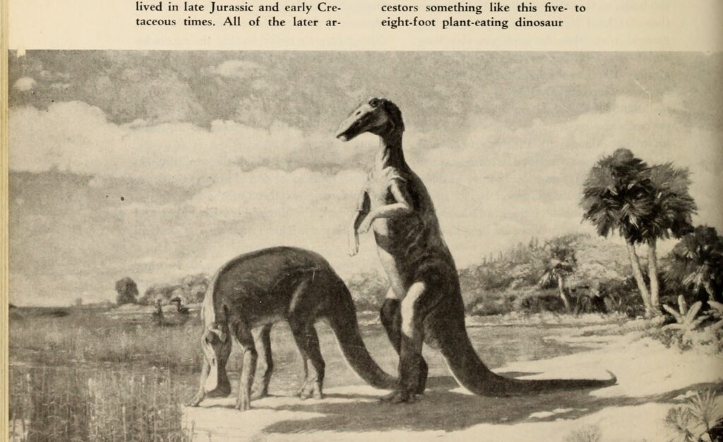 10 Children's Dinosaur Books That Were Printed Reprinted and Reprinted Again Without Anyone Checking Whether a Single Fact Was Still Considered True