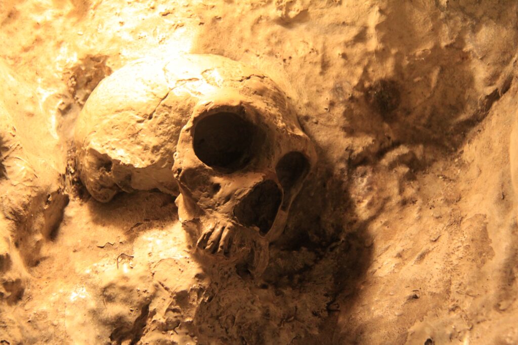Neanderthals Buried Their Dead With Flowers Cared for Their Injured and Created Pigment Art - and Science Spent 150 Years Refusing to Accept Any of It