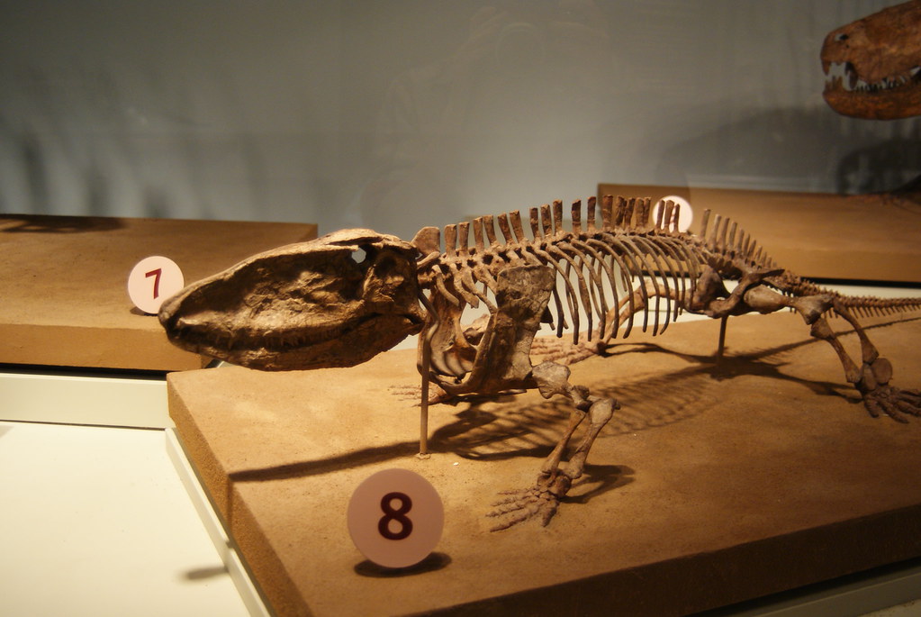 8 Prehistoric Facts So Counterintuitive That When Scientists First Proposed Them They Were Laughed Out of Conferences That Now Teach Those Same Facts as Foundational