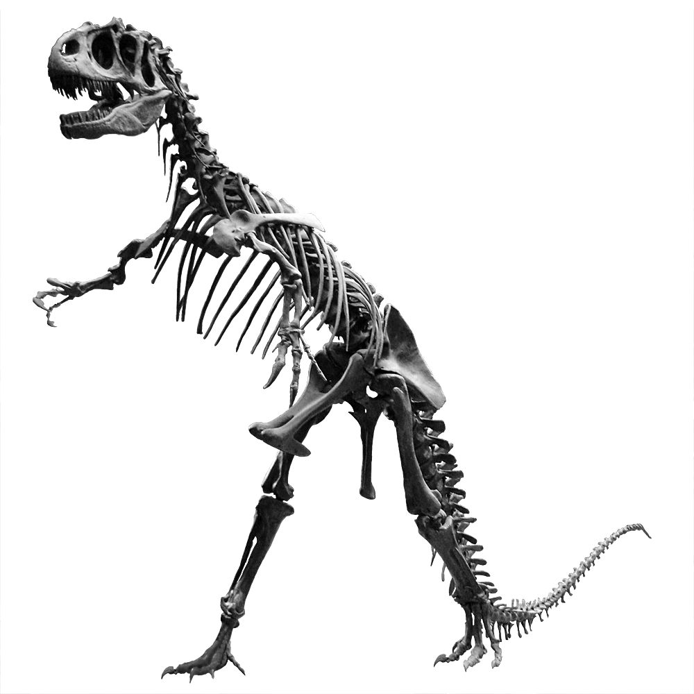 7 Times a Major Museum Displayed a Dinosaur Skeleton in a Pose That Scientists Later Confirmed Was Physically Impossible