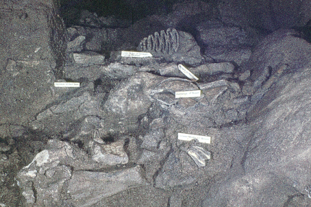 9 Mysterious Discoveries Found Inside Caves That Changed What We Know About Early Humans