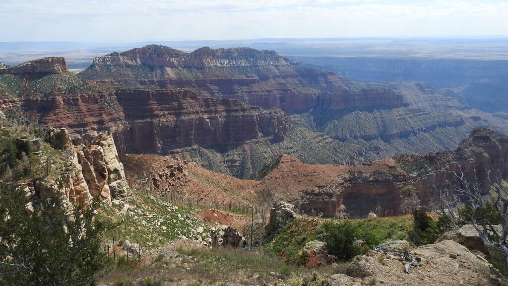 New Geological Evidence Suggests North America's Landscape Looked Dramatically Different During the Age of Dinosaurs