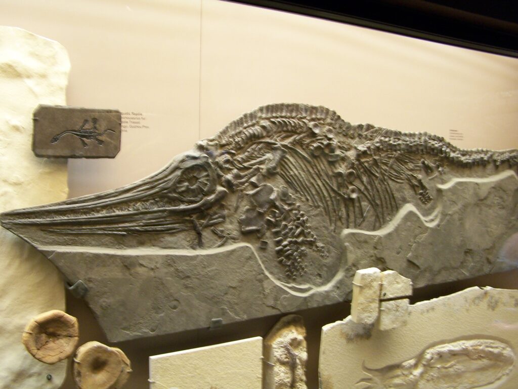Paleontologists Have Found Evidence That Some Giant Marine Reptiles Gave Birth in Open Oceans Rather Than Returning to Shore