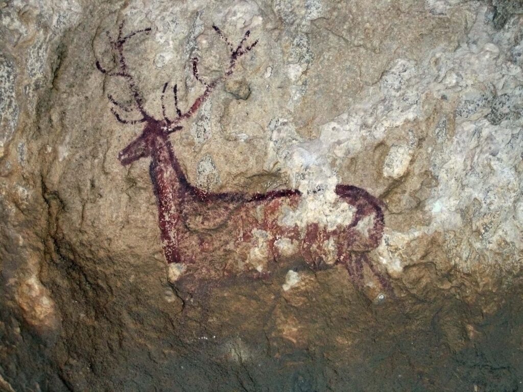 The Spirit Animal Tradition Predates Written History by Tens of Thousands of Years - and the Animals That Cave Artists Painted Most Often May Reveal Something About Your Sign