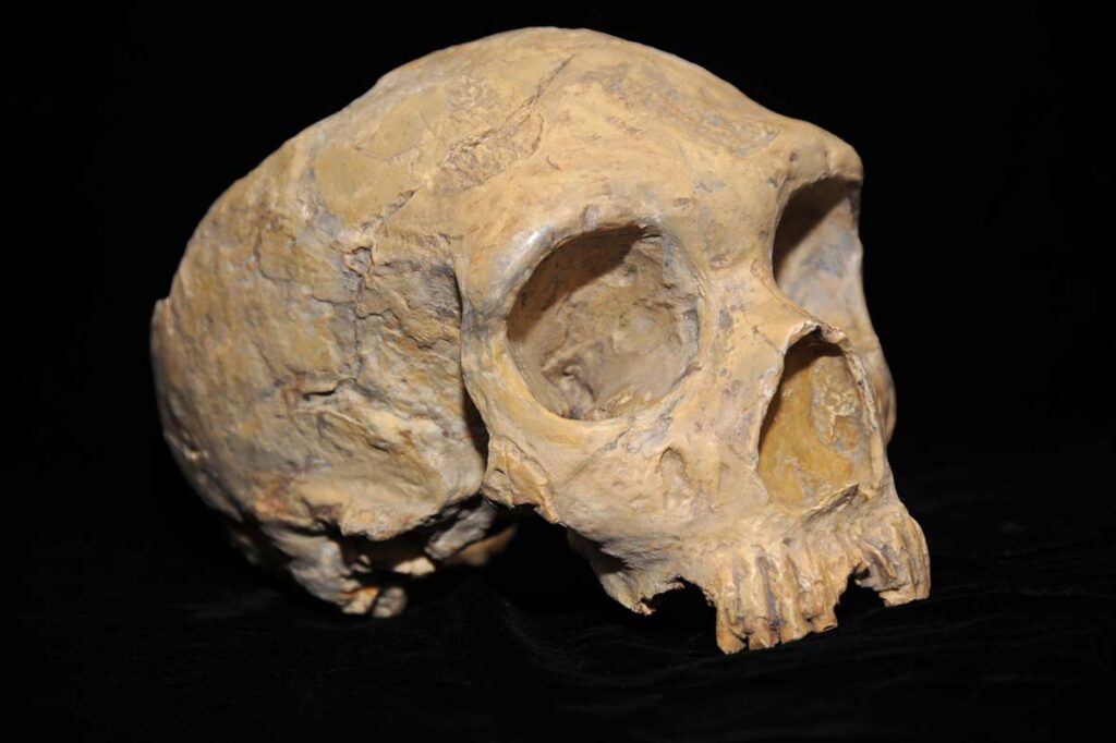 16 Prehistoric Mysteries No Researcher Has Ever Managed to Solve