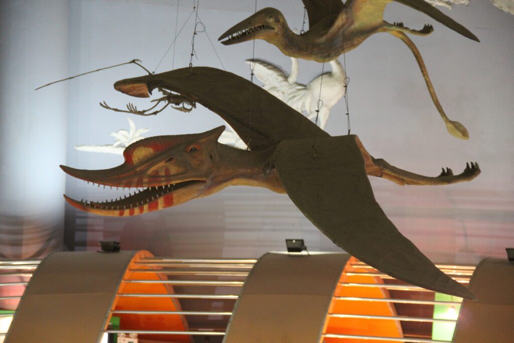 12 Things About Pterosaurs That Still Puzzle Researchers Completely