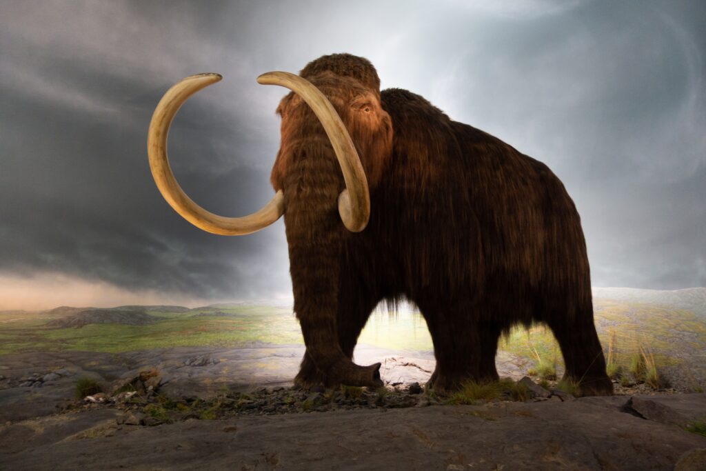 14 Things Prehistoric Humans Ate That Would Shock Anyone Today