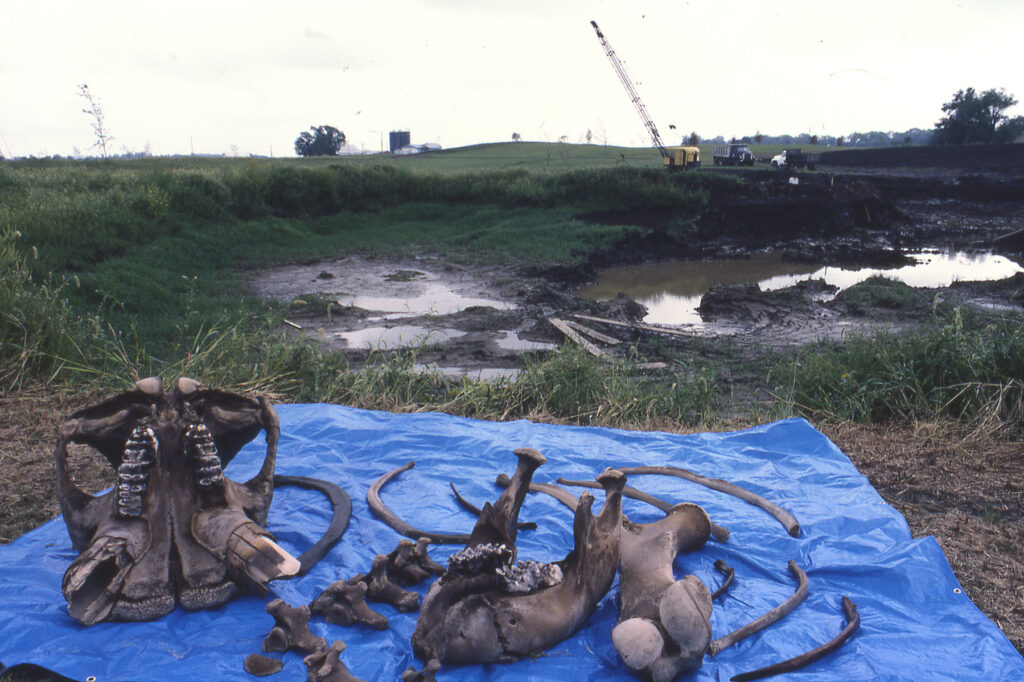 13 Fossil Sites That Still Contain Things Nobody Can Account For