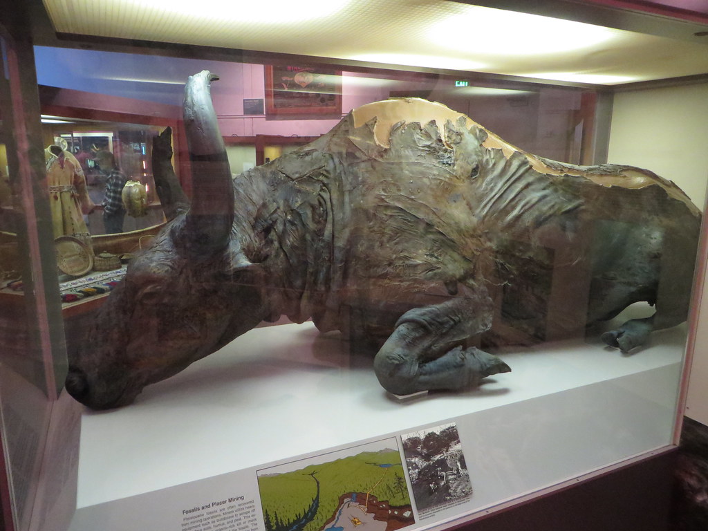 12 Ice Age Giants That Vanished More Recently Than Most People Realise