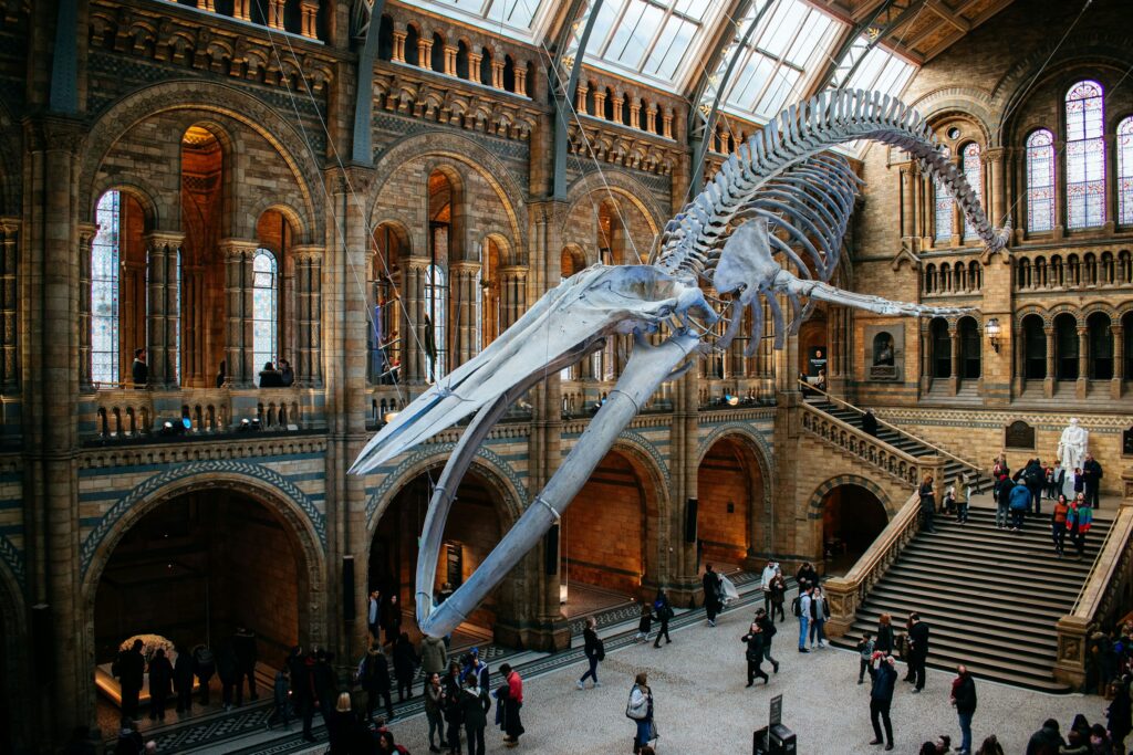 16 Museum Exhibits That Were Rebuilt After Scientists Realised the Mistake