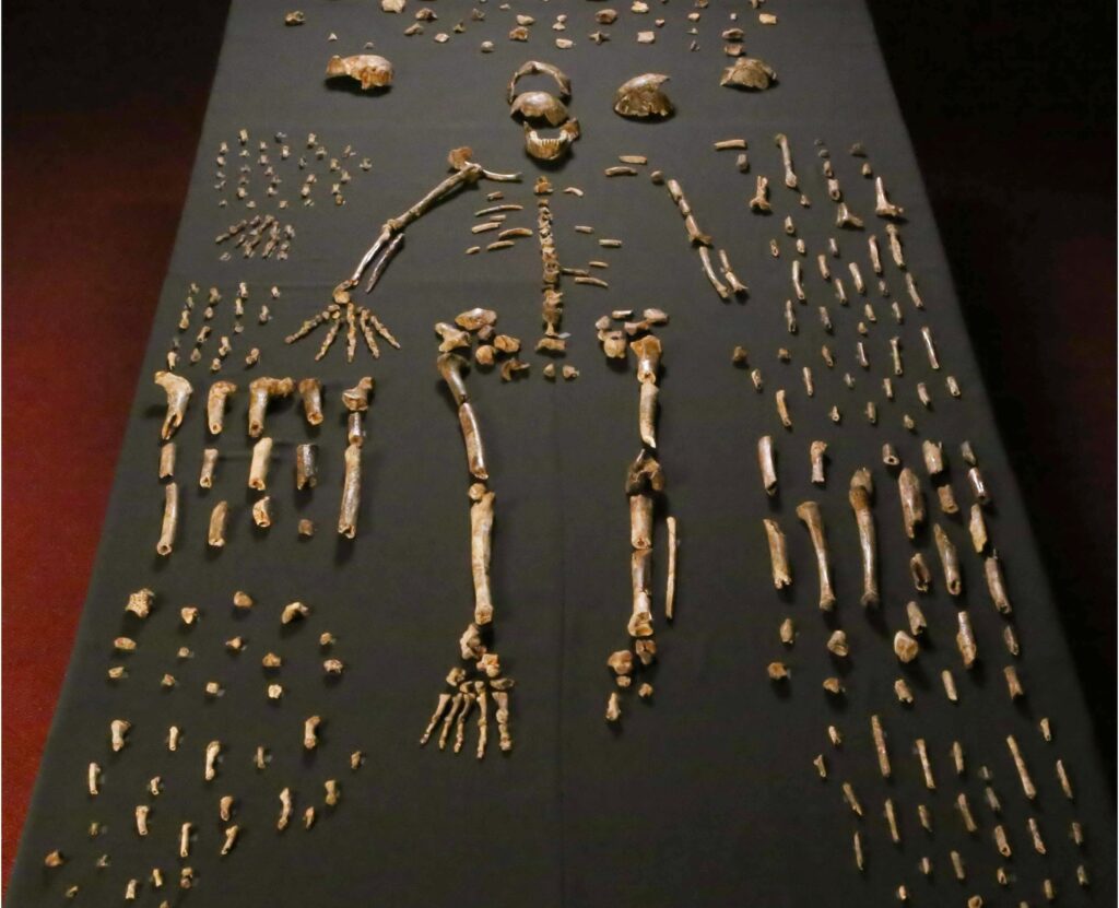 15 Prehistoric Discoveries Scientists Still Cannot Explain After Decades of Study