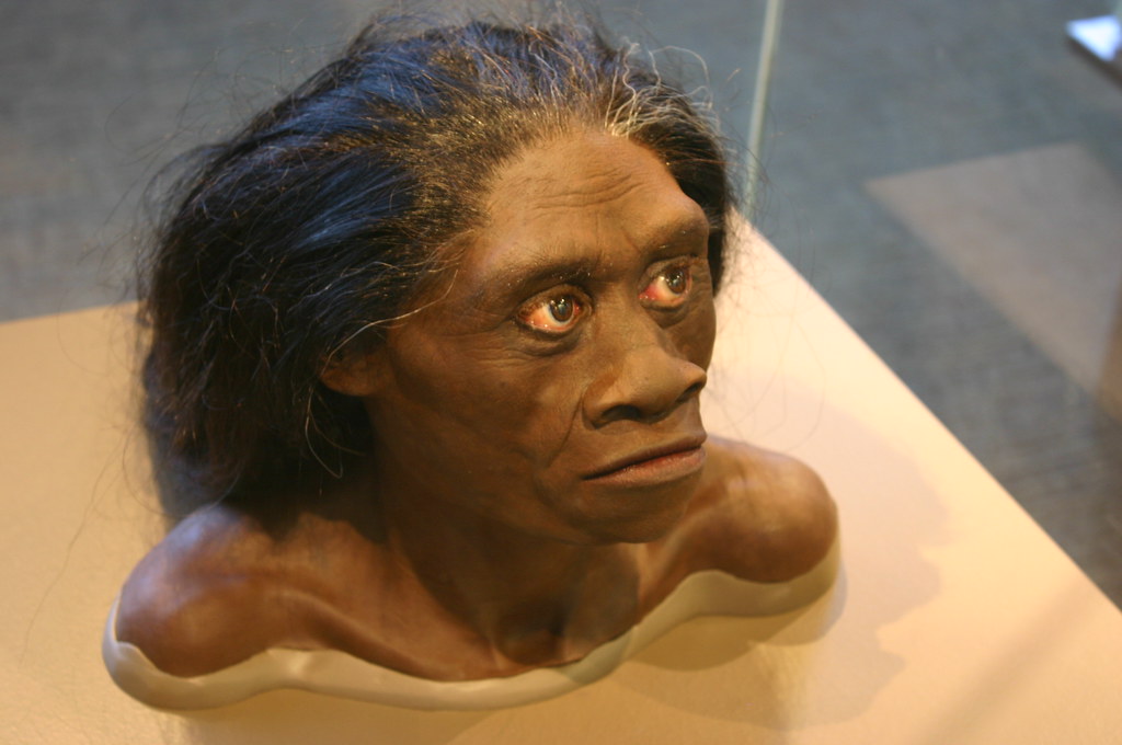 15 Discoveries That Changed What We Know About the First Humans
