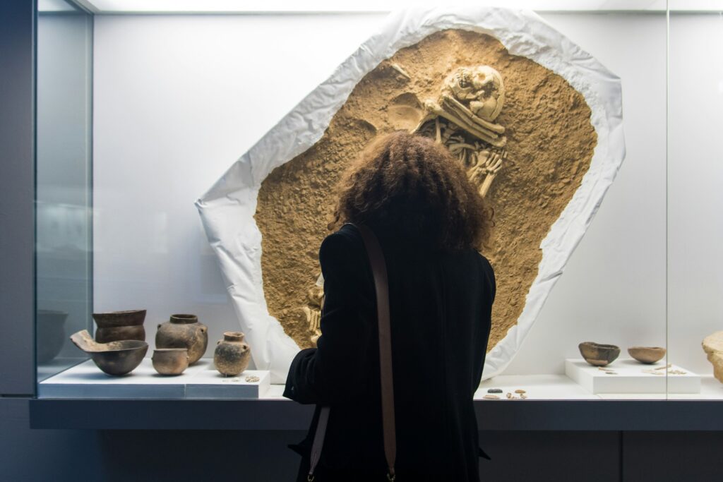 13 Things Natural History Museums Have Quietly Stopped Displaying