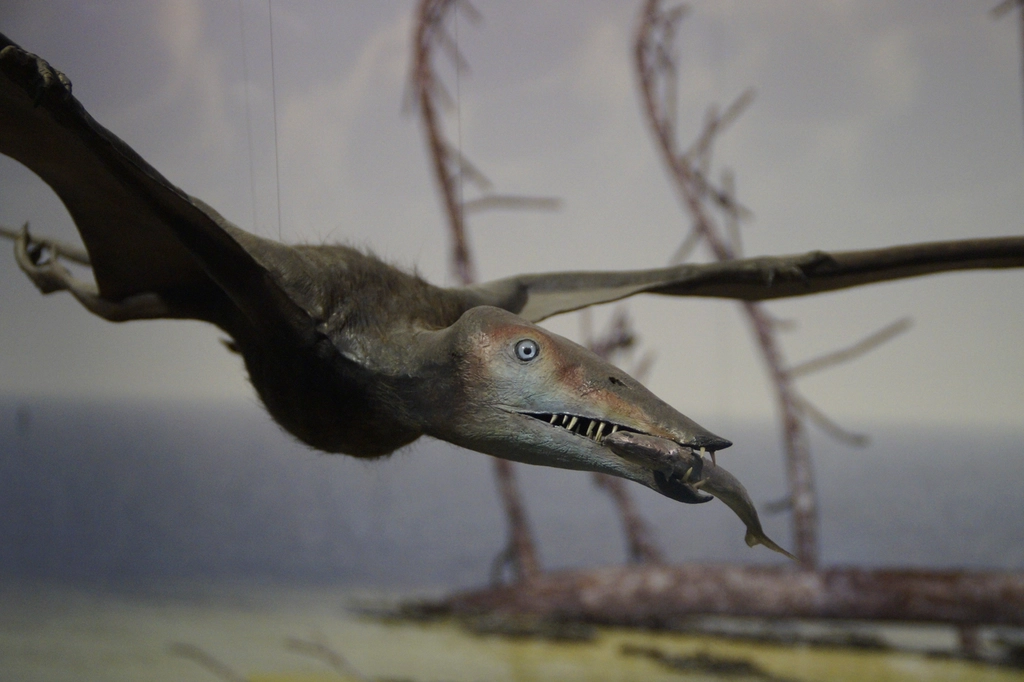 13 Things Scientists Now Know About Pterosaurs That Changes Everything