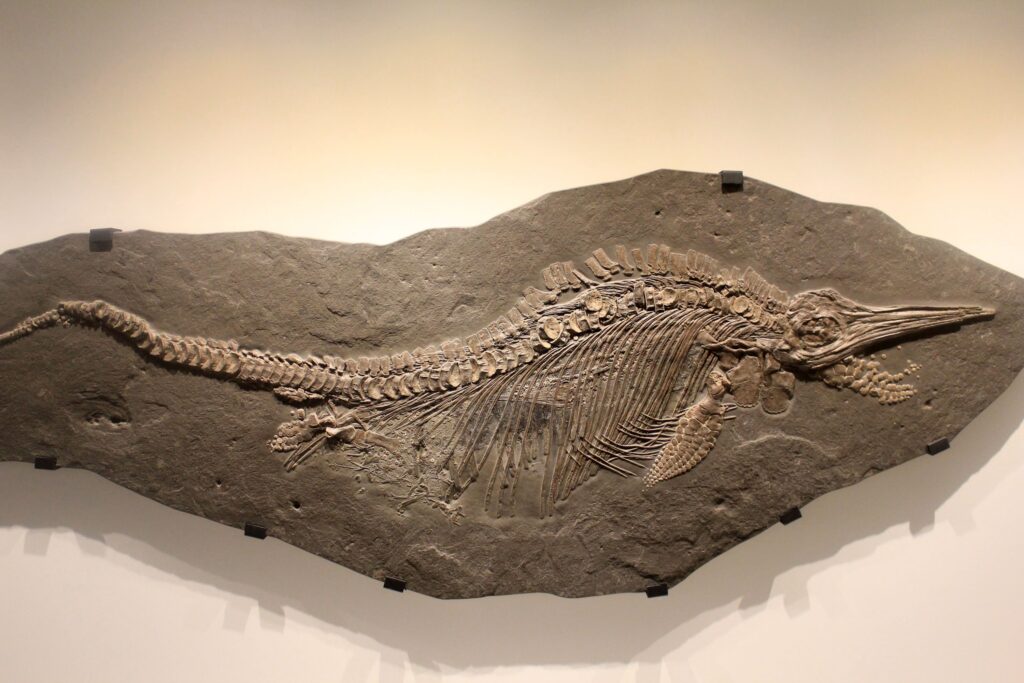 12 Fossil Finds That Still Make No Sense to Anyone Studying Them
