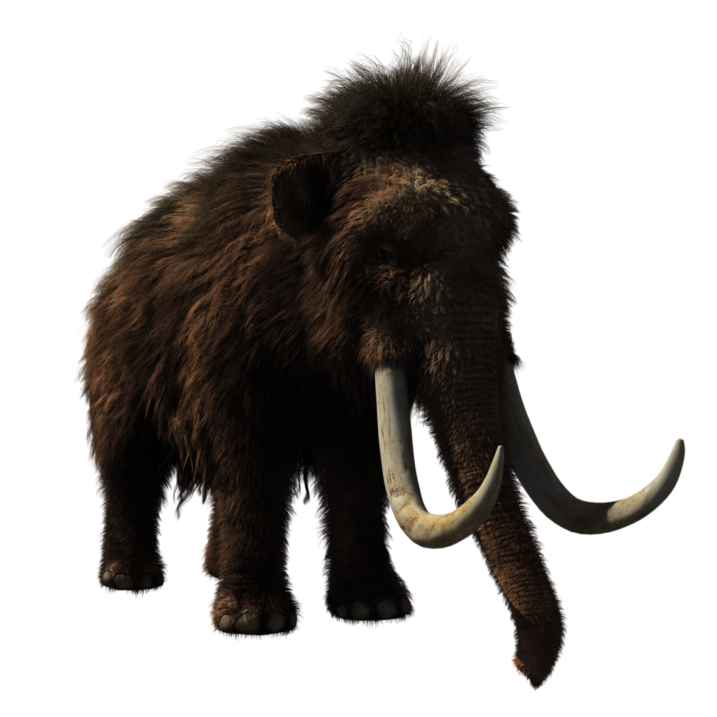 16 Things Scientists Discovered About Mammoths in the Last Ten Years