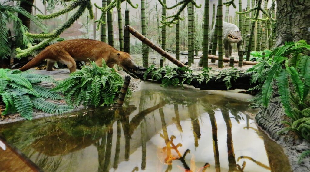 14 Ways the Planet Looked Completely Different 200 Million Years Ago