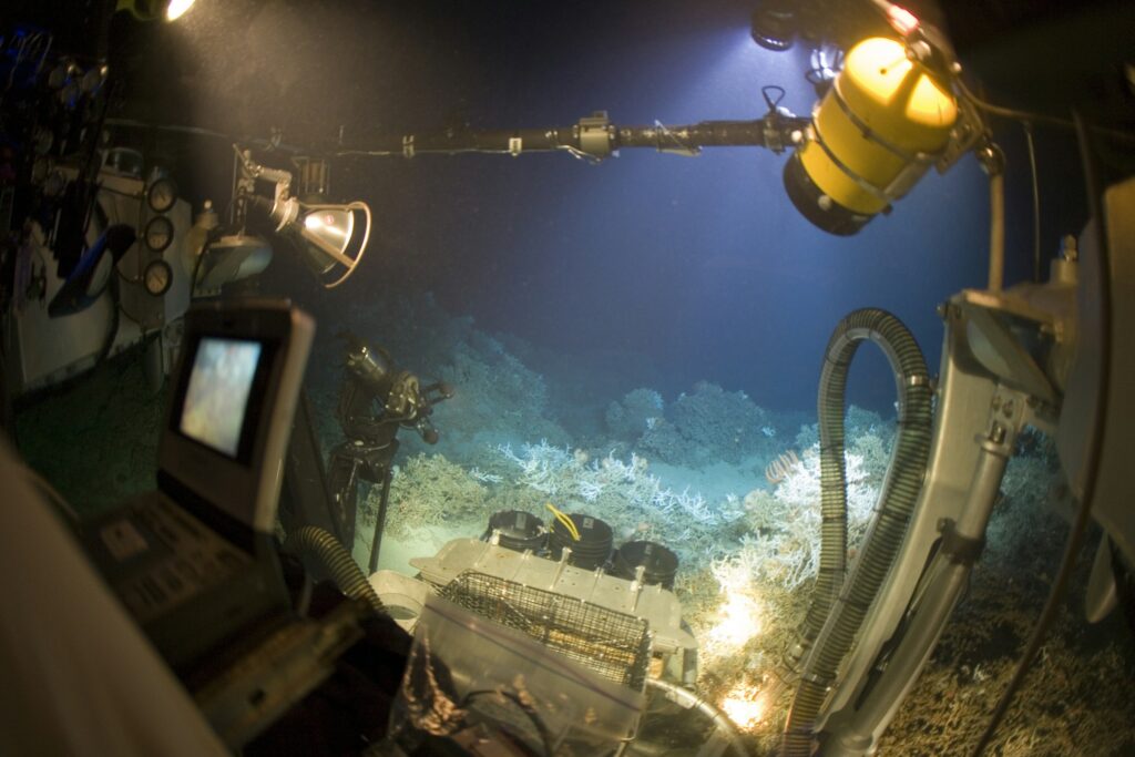 Scientists Say the Deep Ocean May Preserve Clues to Some of Earth's Greatest Mass Extinctions That Have Yet to Be Discovered