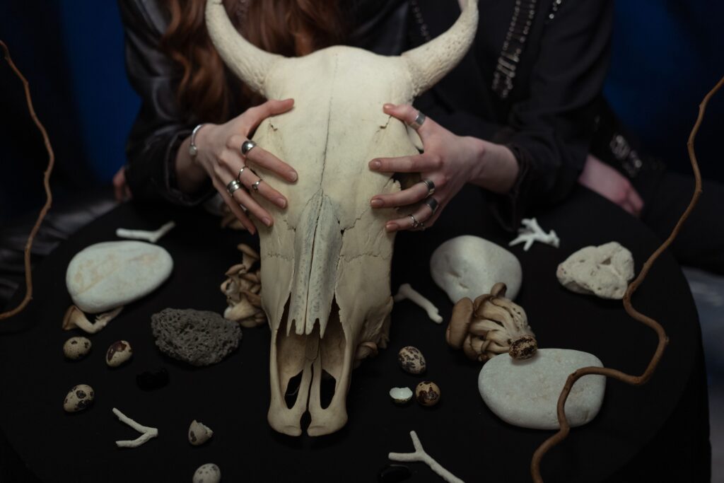 The Shamanic Tradition of Spirit Animals Has Roots Going Back 40000 Years - and the Creatures Painted on Cave Walls at That Time Map Onto the Zodiac in Ways That Are Hard to Dismiss