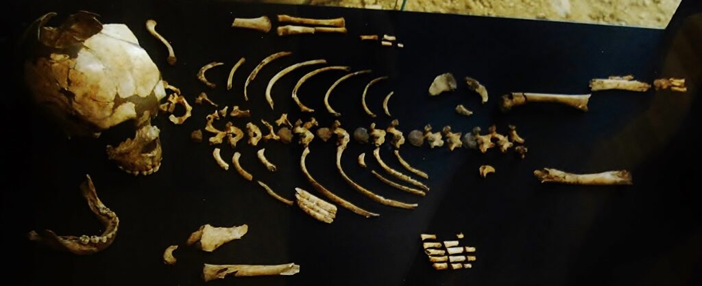 New Fossil Evidence Suggests Some Early Human Relatives Cared for Injured Group Members Long Before Civilization Emerged