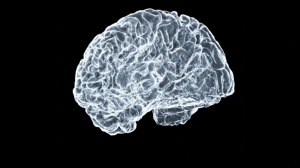 The Prehistoric Reason Your Brain Hates Not Knowing What Happens Next