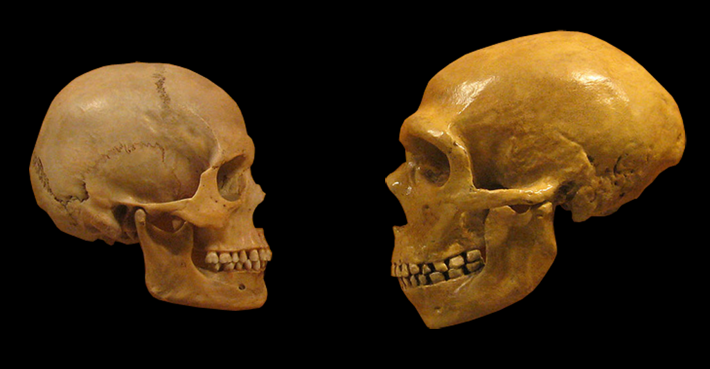 Researchers Have Found Ancient DNA From Neanderthals Inside Modern Human Genomes - Meaning Their Story Never Completely Ended