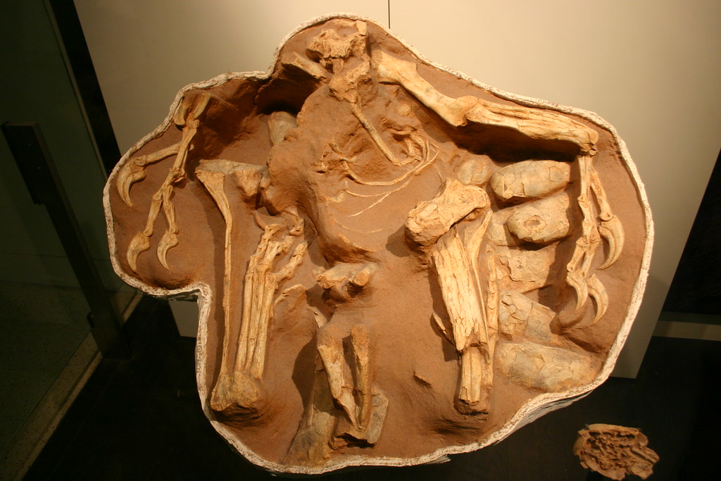 Palaeontologists Have Discovered Fossil Evidence of Dinosaurs Sitting on Their Nests - Strengthening the Evolutionary Connection Between Dinosaurs and Birds
