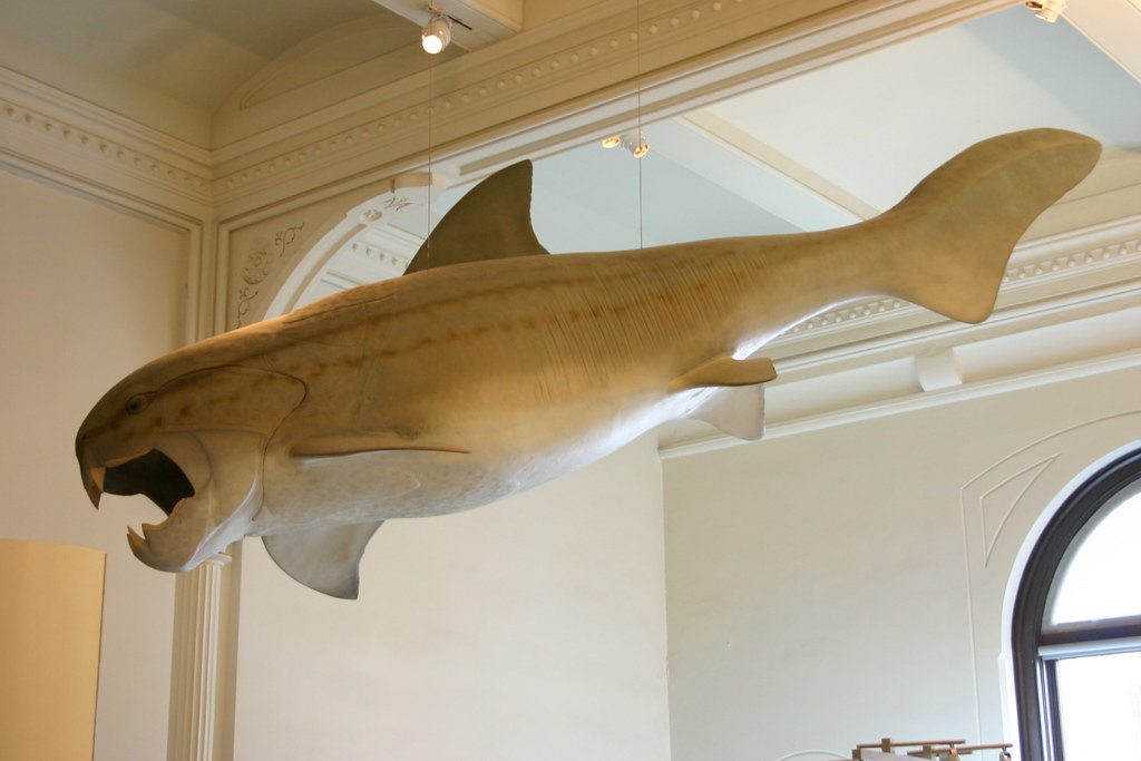7 Jaw Dropping Facts About Dunkleosteus The Shark Killer That Had a Bite Force Equal To a T Rex