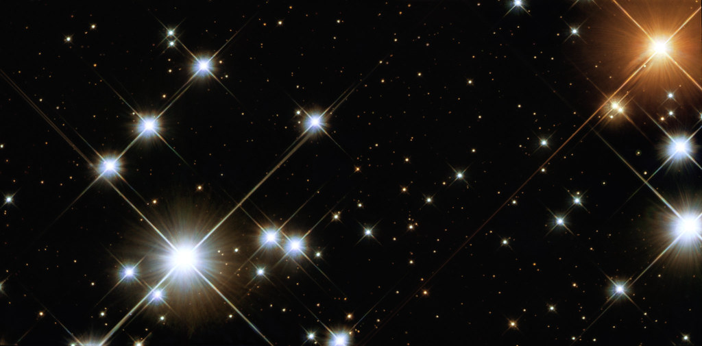 Ancient Stargazers Named the Zodiac After Creatures They Observed - but They Had No Idea That 65 Million Years Earlier Far More Extraordinary Creatures Had Already Claimed Those Same Skies
