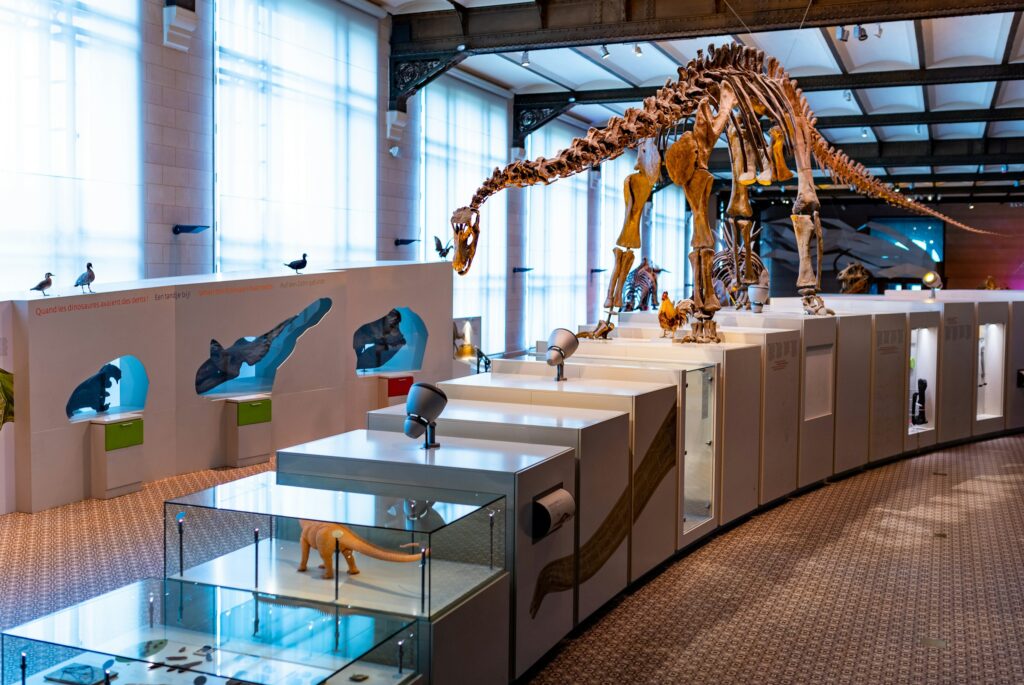 13 Reconstructions Museums Now Admit Were Largely Guesswork