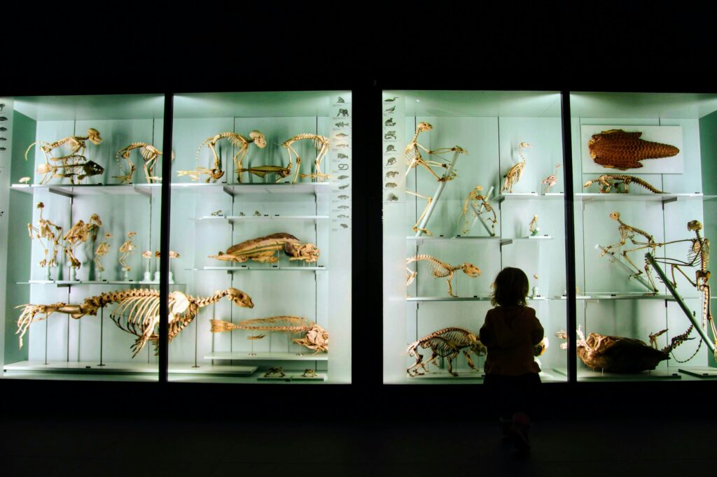 15 Specimens Catalogued as Unknown and Never Examined Again